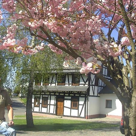 Ferienhaus Schmitt Beltheim Ngoại thất bức ảnh
