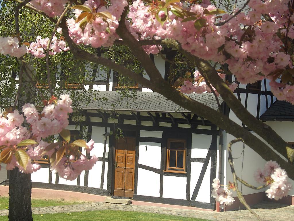 Ferienhaus Schmitt Beltheim Ngoại thất bức ảnh